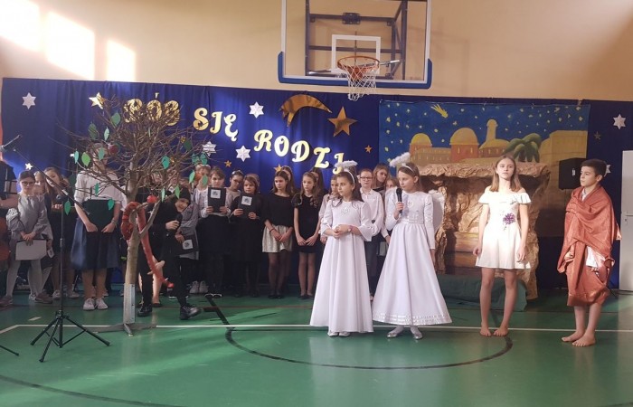 jaselka_2019_3