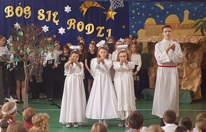 jaselka_2019_7