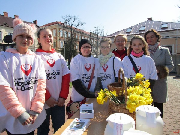 kwiaty_dla_hospicjum_9