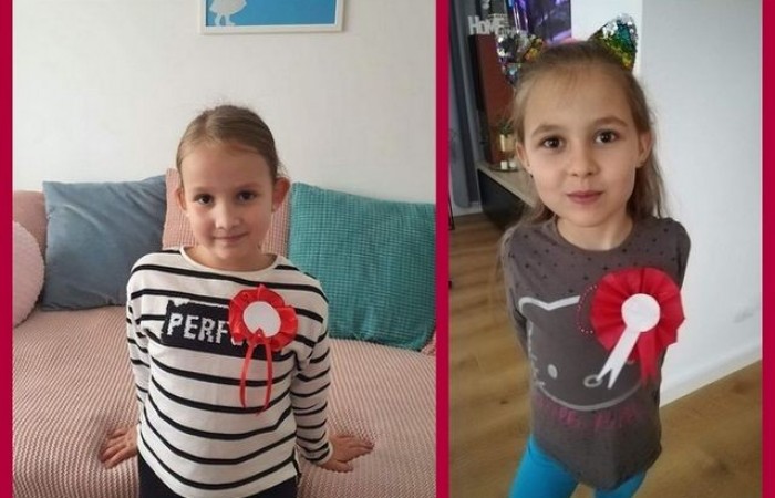 1a_kotyliony_07