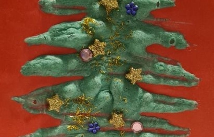4-6_wyroznienia_04