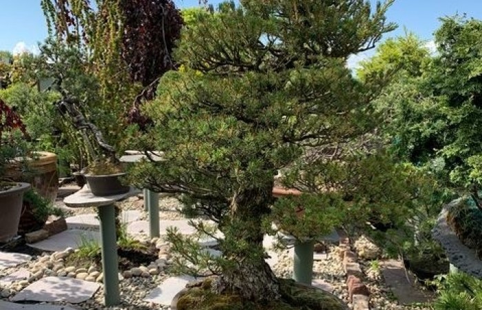 piknik_5a_2021_09