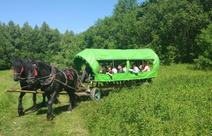 wycieczka_siedlisko_janczar_11