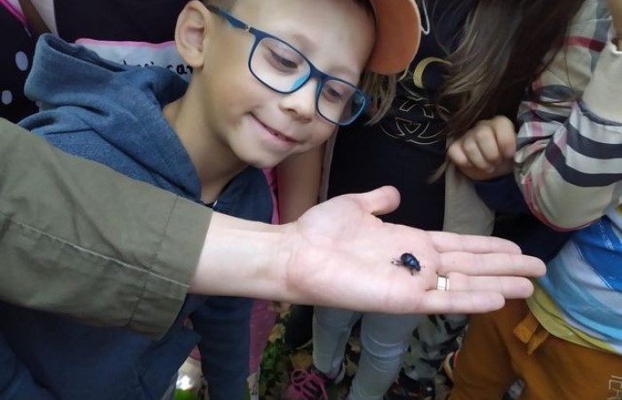 bd8b4839-4f62-4e1e-823f-2334b6c4db38