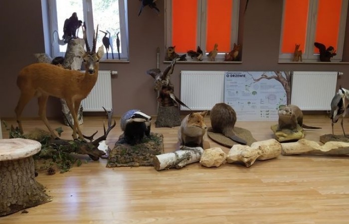 wycieczka_do_lasi_1a_2a_04