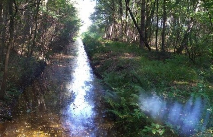 wycieczka_do_lasi_1a_2a_08