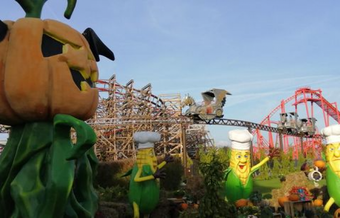 energylandia_8b_8d_08_wynik