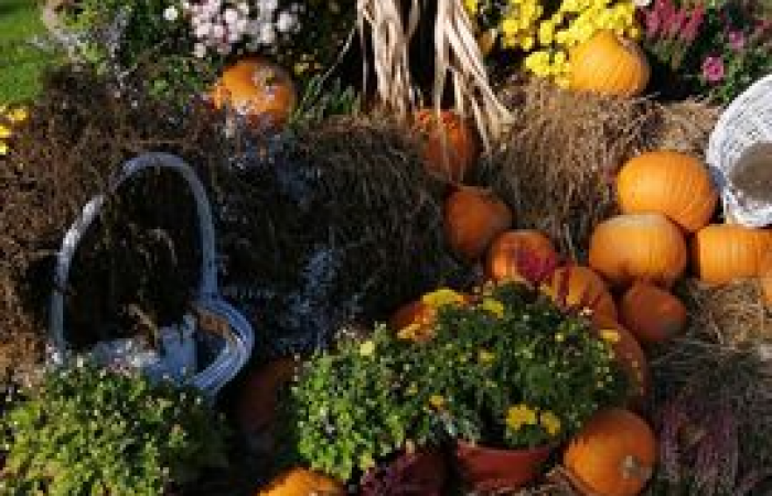 energylandia_8b_8d_10_wynik