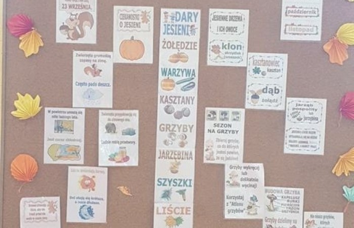 jesien_w_sp2_03_wynik