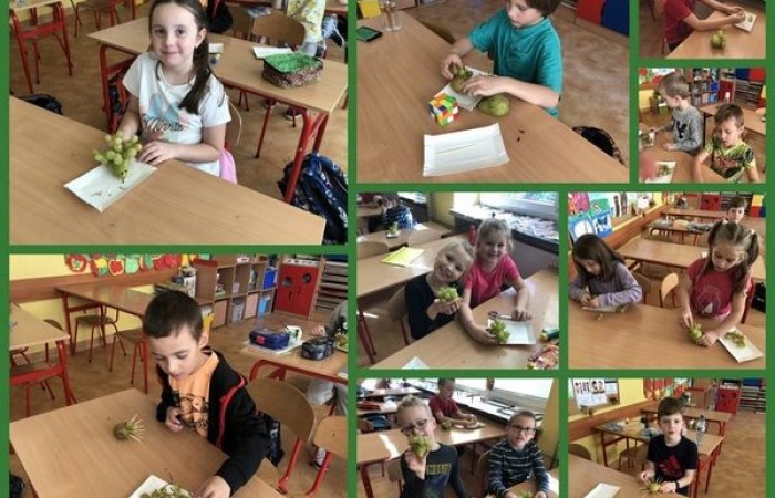 1c_dzien_jeza