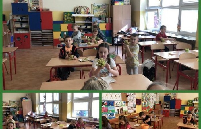1c_dzien_jeza_02