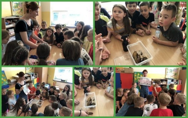 1c_dzien_dziecka_2023_slimaki