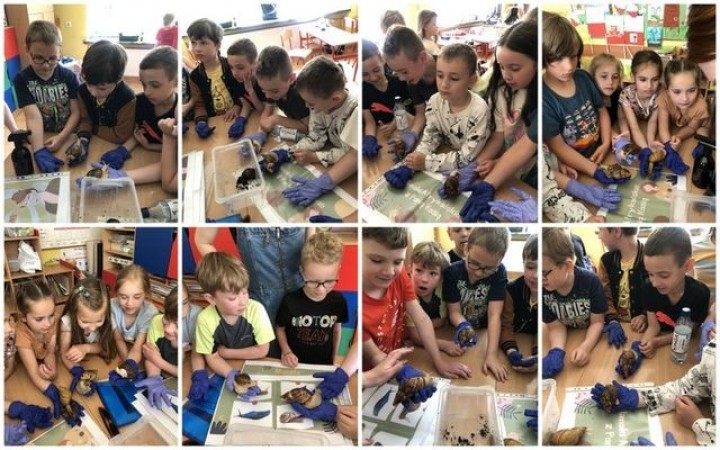 1c_dzien_dziecka_2023_slimaki_02