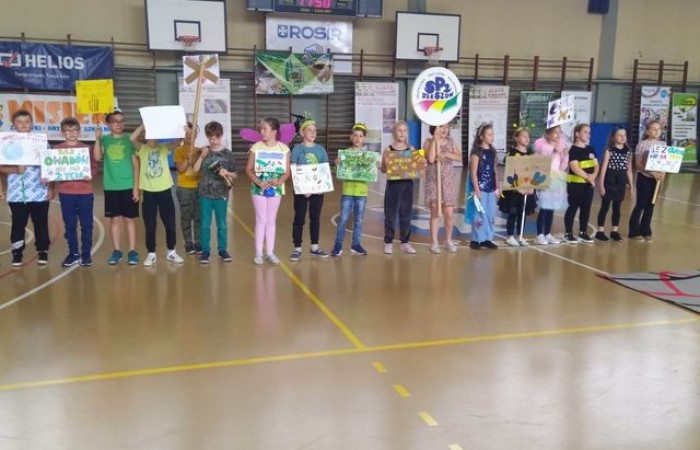 Skrzydlolatorium_3a_2023_05