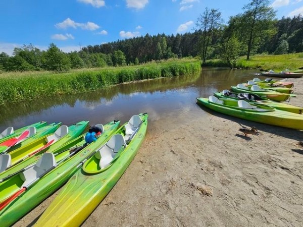 8b_Zwierzyniec_2023_02