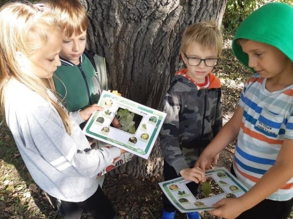 2b_na_tropie_jesieni_04