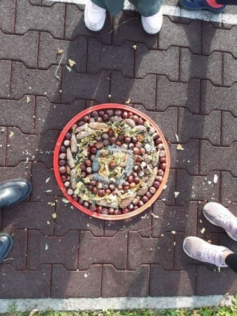 2b_na_tropie_jesieni_11