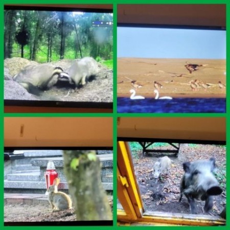 SPOTKANIE_MARCINEM_KOSTRZYNSKIM_10